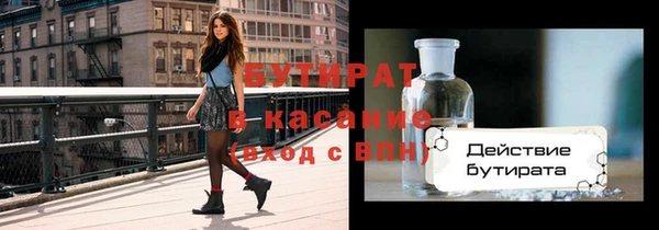 индика Алексин