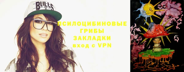 индика Алексин