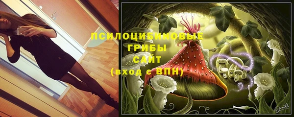 кокс Абаза