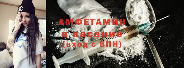 индика Алексин