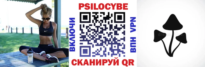 дарнет шоп  Ермолино  Псилоцибиновые грибы мухоморы 